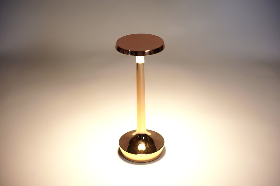 Bon Jour Unplugged OPTIC