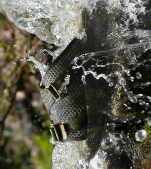 rig × nonnative BAWAKA