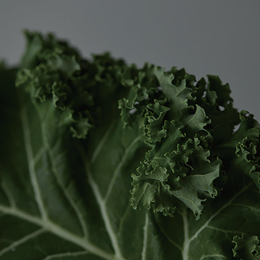 Everyday green