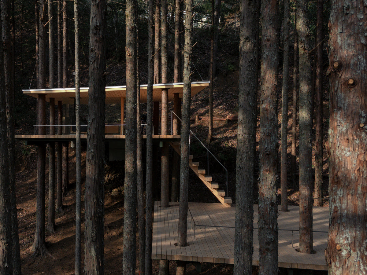 TREE SAUNA