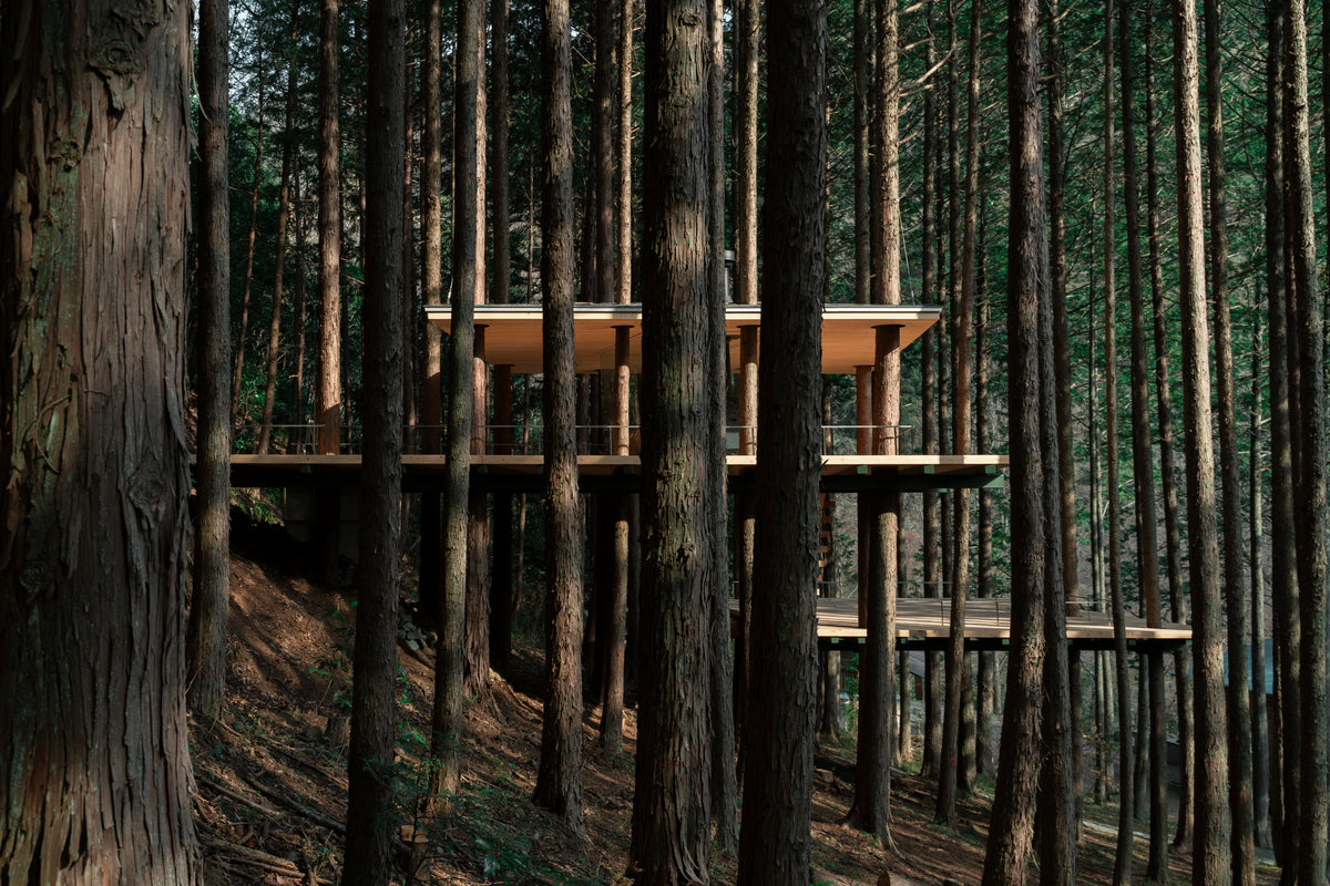 TREE SAUNA