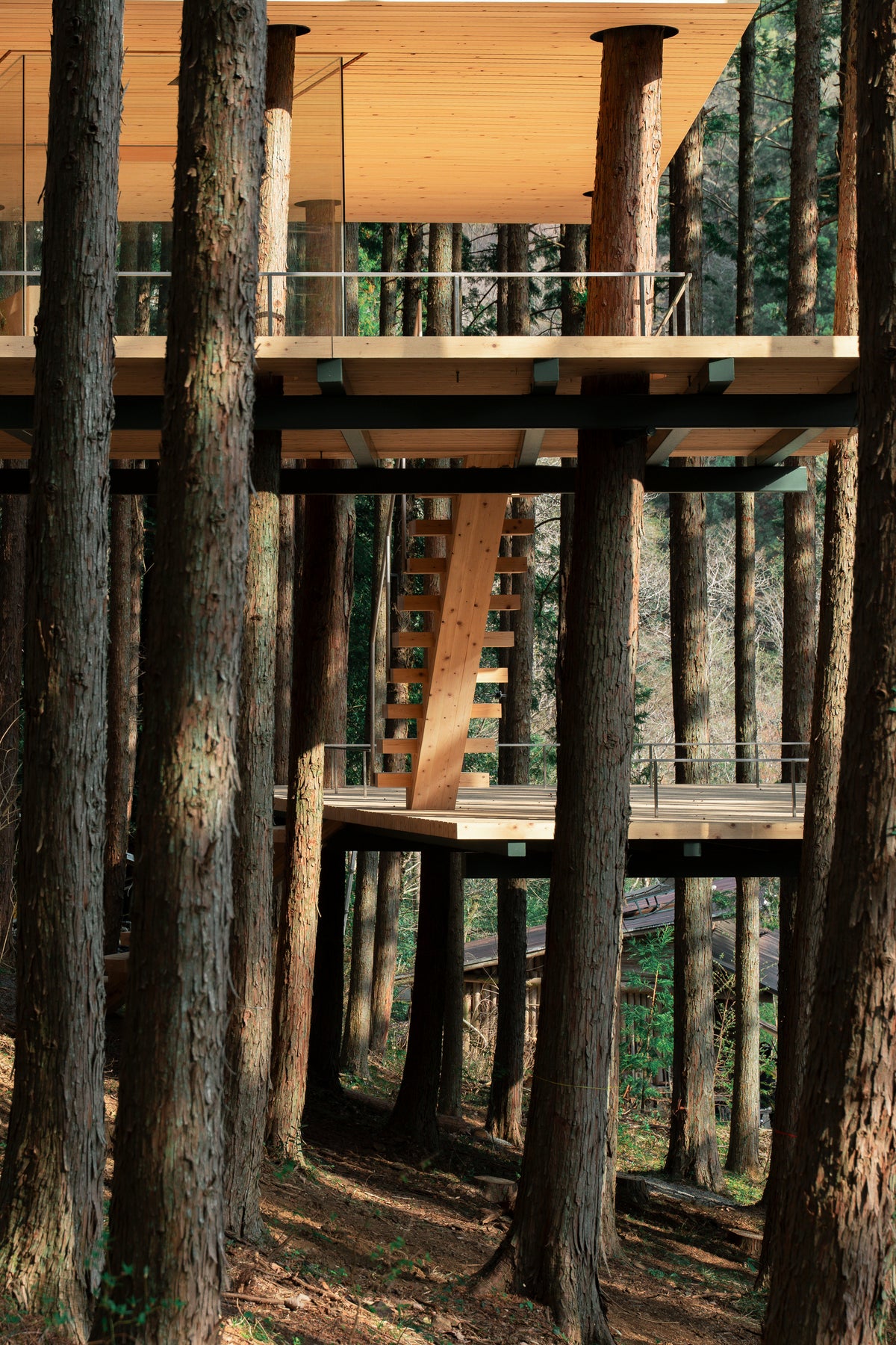 TREE SAUNA
