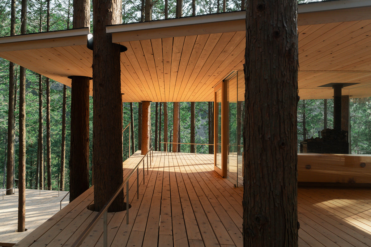 TREE SAUNA