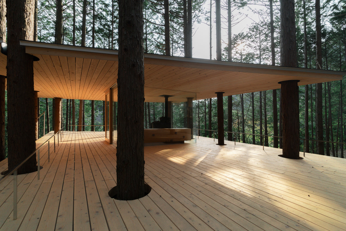 TREE SAUNA