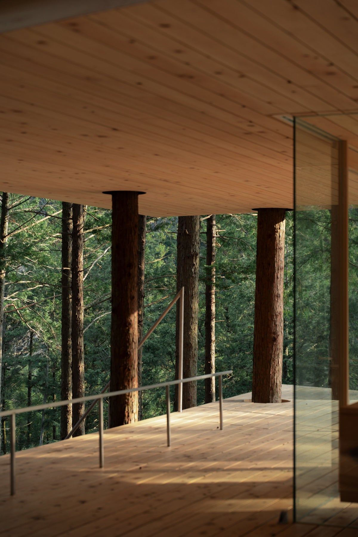 TREE SAUNA