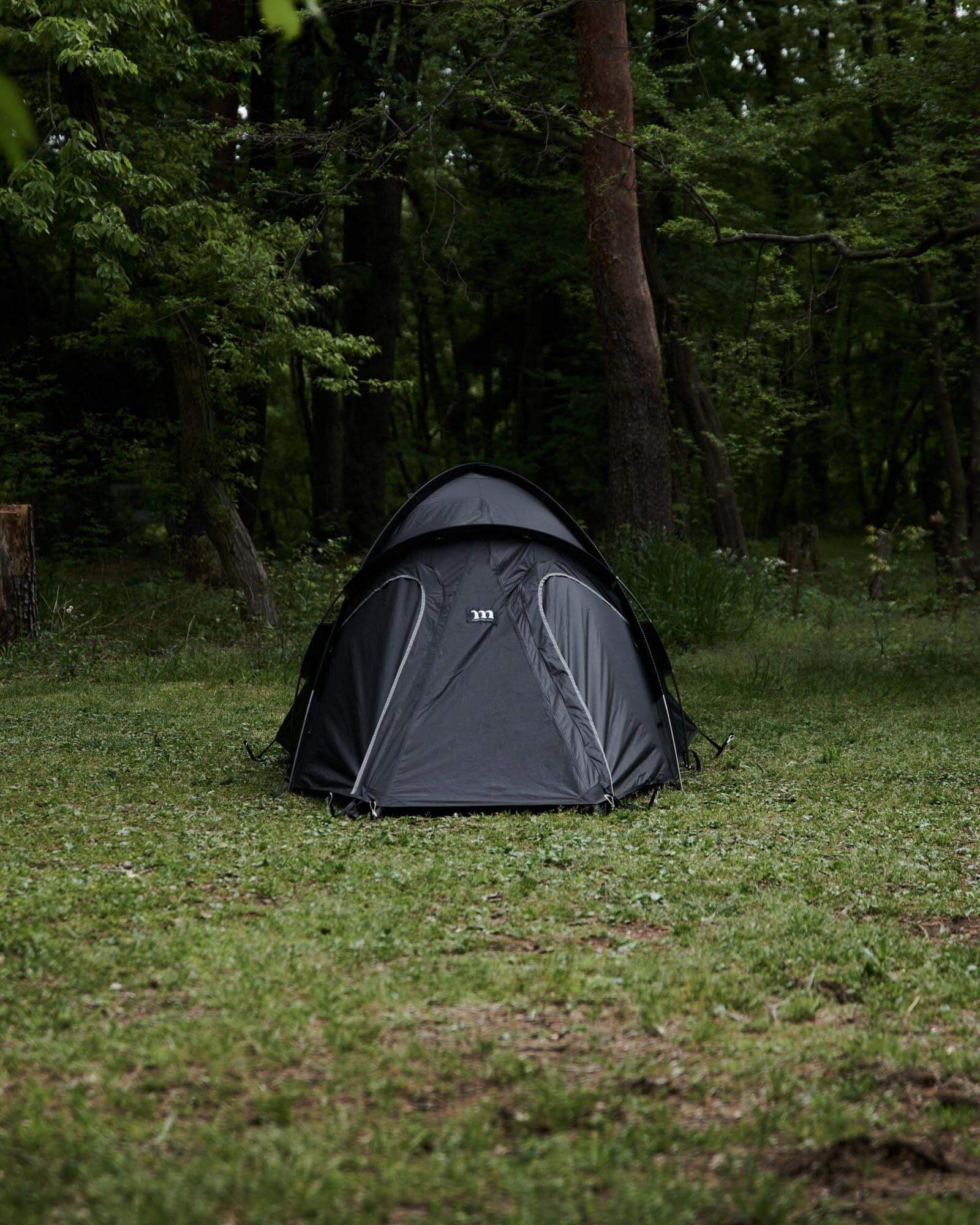 BLACK BEAK 2P | DAICHI INC