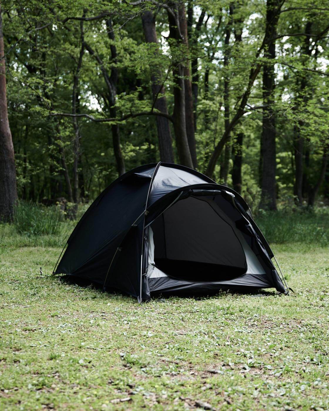 BLACK BEAK 2P | DAICHI INC