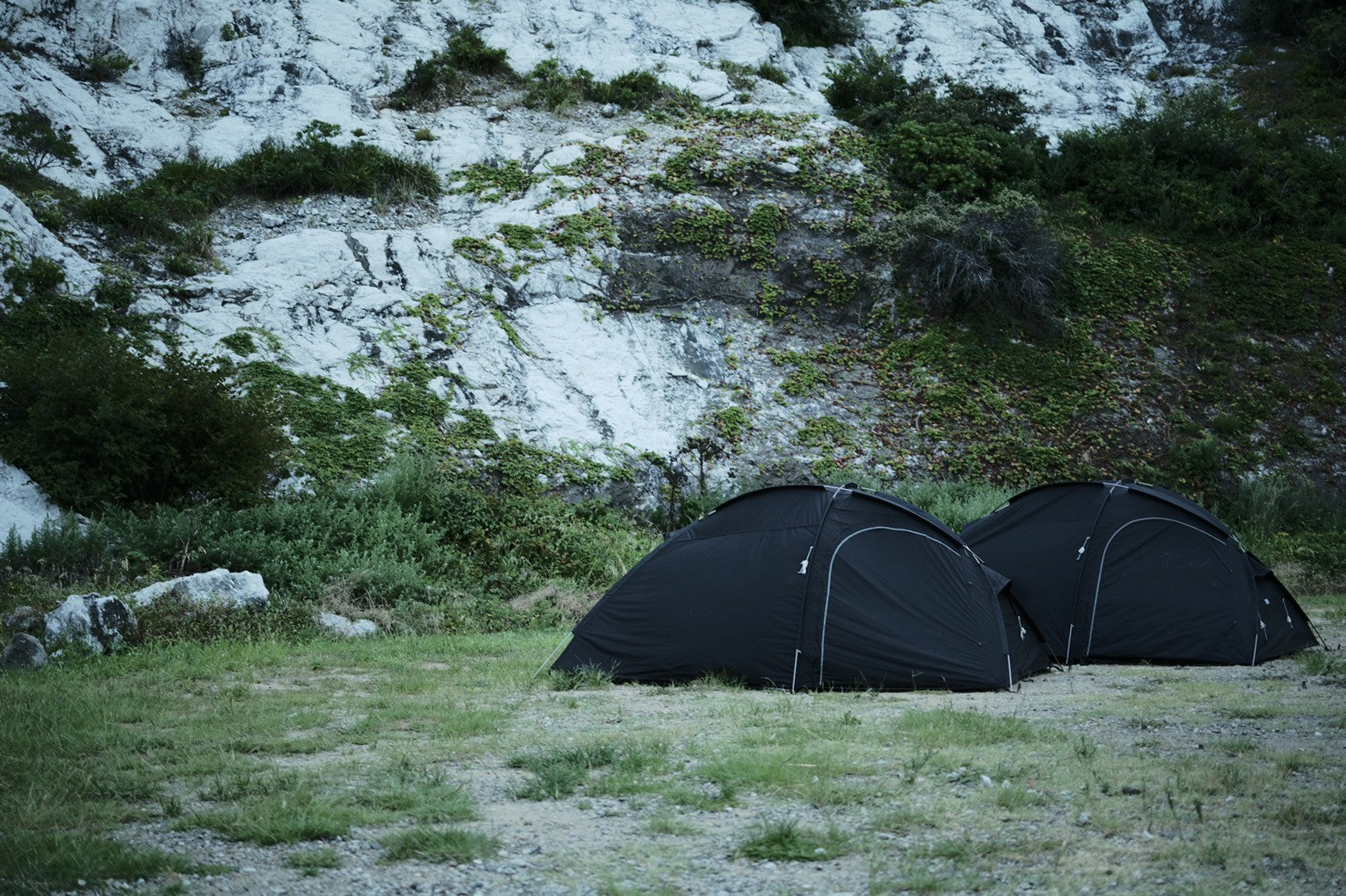 BLACK BEAK 4P | DAICHI INC